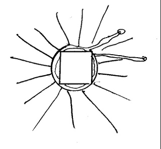 Anfang quadratisch